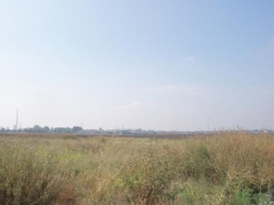 Fiscul scoate la vânzare un teren al fraţilor Chicheanu